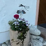 Bachl Inkl. Chiemgaukarte Apartamento