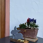 Apartamento Bachl Inkl. Chiemgaukarte Ruhpolding
