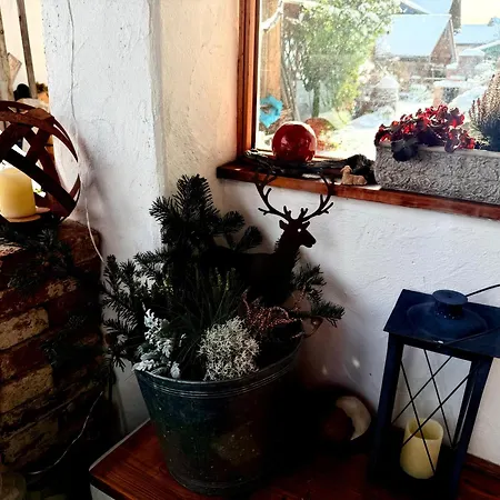 Appartement Bachl Inkl. Chiemgaukarte Ruhpolding