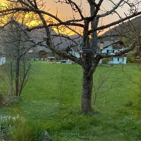 Bachl Inkl. Chiemgaukarte Ruhpolding